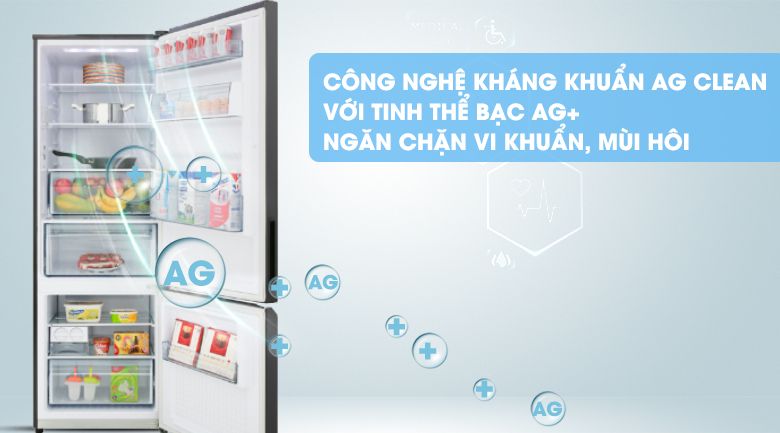 Tủ lạnh Panasonic NR-BV280WKVN 255 lít Inverter 