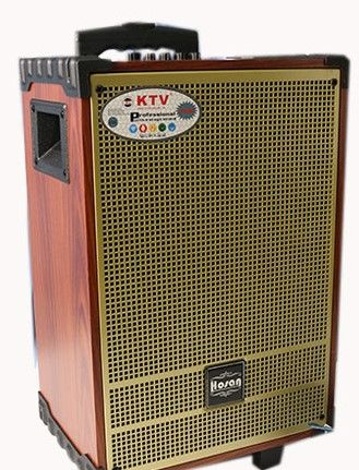Loa di động KTV GD10-13