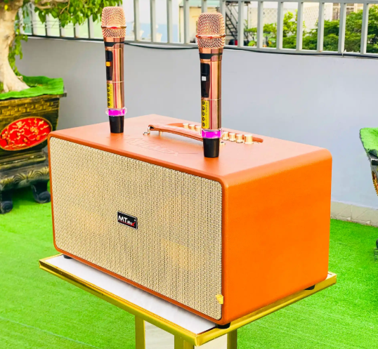 Loa xách tay DK02 MTMAX	