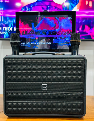 Loa Kéo Có Màn Hình MTMAX T33Pro / 14 inch /300W