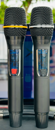 Loa Kéo Có Màn Hình MTMAX T33Pro / 14 inch /300W