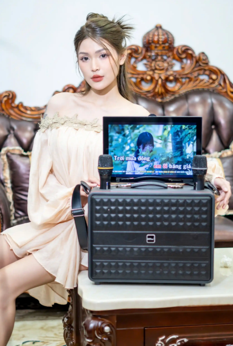 Loa Kéo Có Màn Hình MTMAX T33Pro / 14 inch /300W