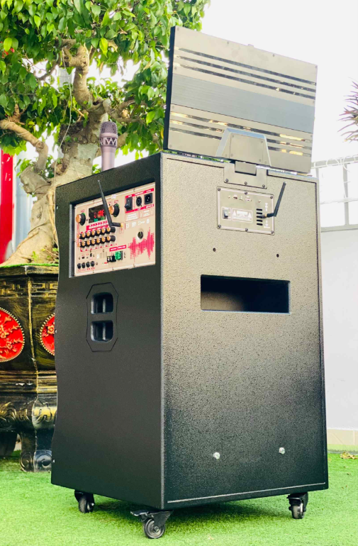 Loa Kéo Có Màn Hình MTMAX BK01Pro /19 inch /500W