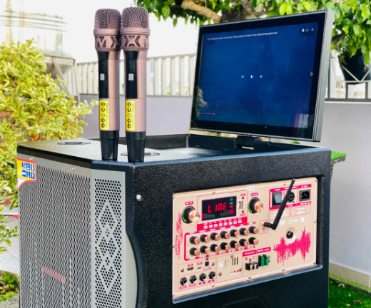 Loa Kéo Có Màn Hình MTMAX BK01Pro /19 inch /500W