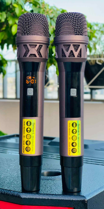 Loa Kéo Có Màn Hình MTMAX BK01Pro /19 inch /500W