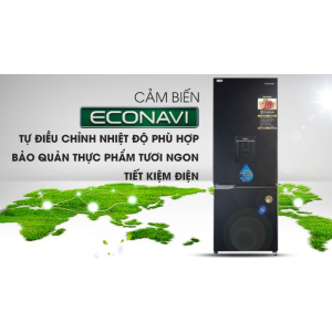 Tủ lạnh Panasonic NR-BV280WKVN 255 lít Inverter 