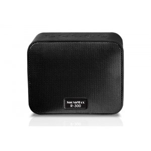 Loa Soundmax R300