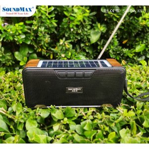 Loa soundmax AS-6