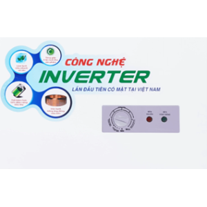 Tủ đông Sanaky Inverter 1 ngăn 2 cánh 400 Lít VH4099A3
