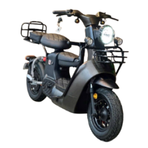 Xe đạp điện Type 3