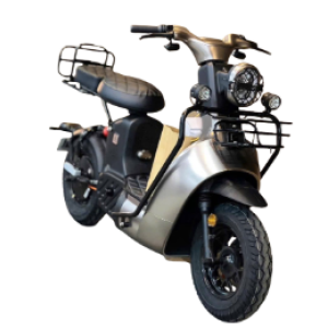 Xe đạp điện Type 3