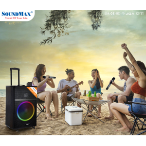 Loa Soundmax M-33