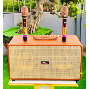 Loa xách tay DK02 MTMAX	